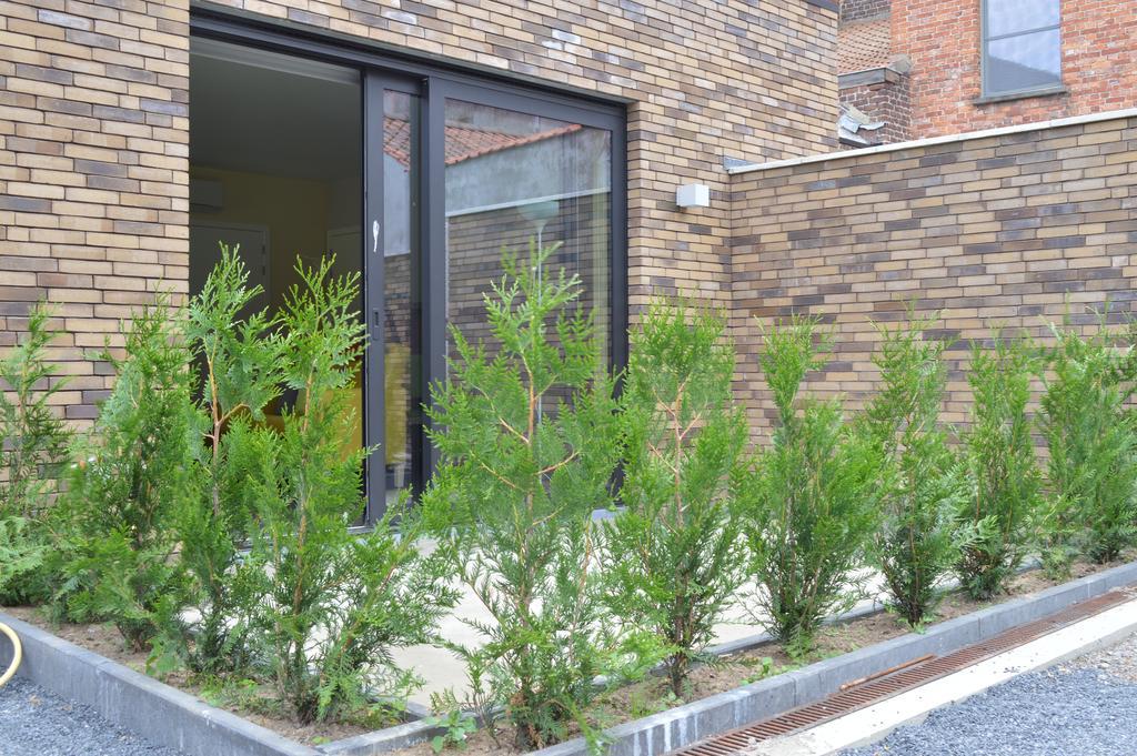Bed & Zorg Ypres Apartment Exterior foto